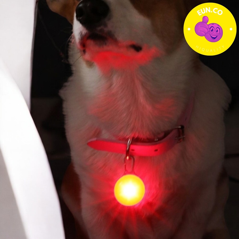 강아지 led목줄 애완견 산책 led목걸이 밤산책 발광 표시 - 메인 이미지