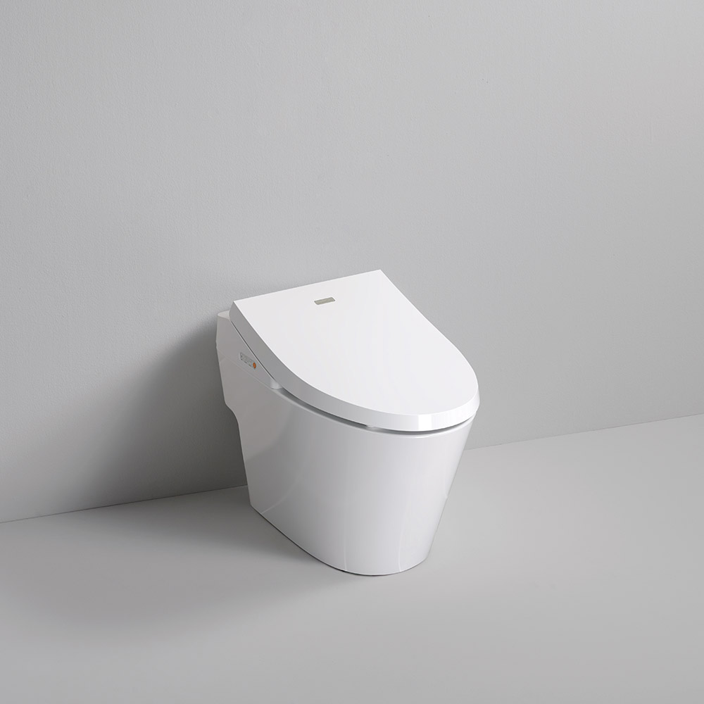 (부산 양산 울산 창원 마산 진해 장유 김해) 대림바스 일체형비데 양변기교체 SMARTLET FIT - 상품 이미지