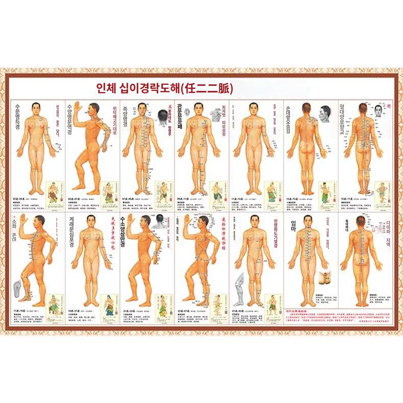 연습 침구학 혈자리 인화지 그림 도면 - 상품 이미지