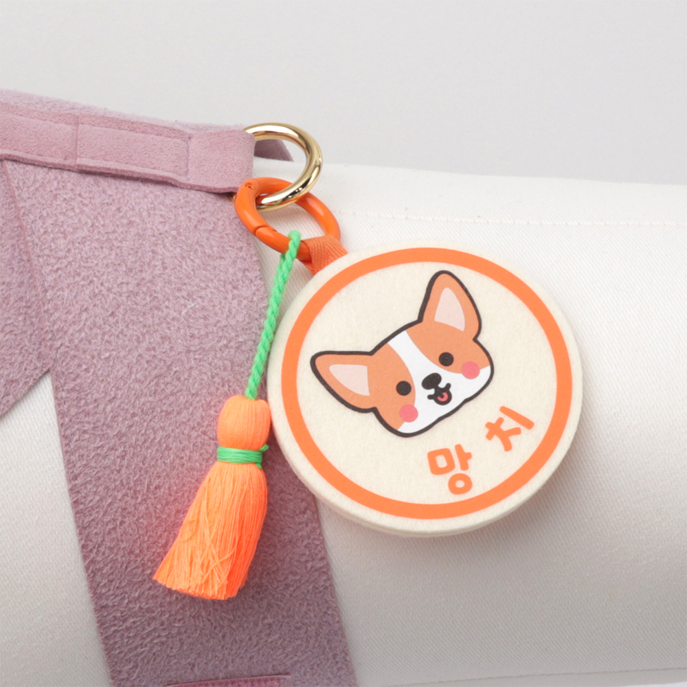 강아지 기능성 인식표 애견 이름표 목걸이 네임택 야간산책