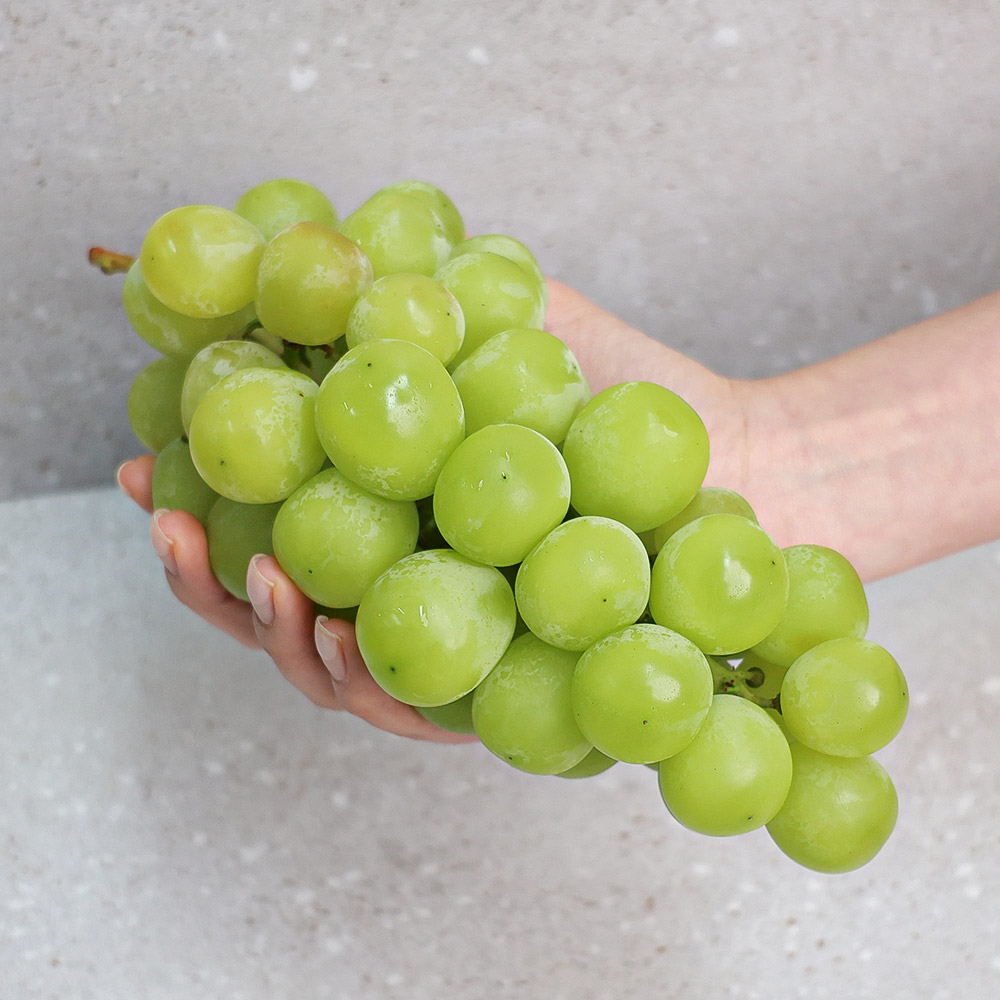 [오늘신선] 산지직송 당일수확 김천 샤인머스켓 특품 1kg - 상품 이미지