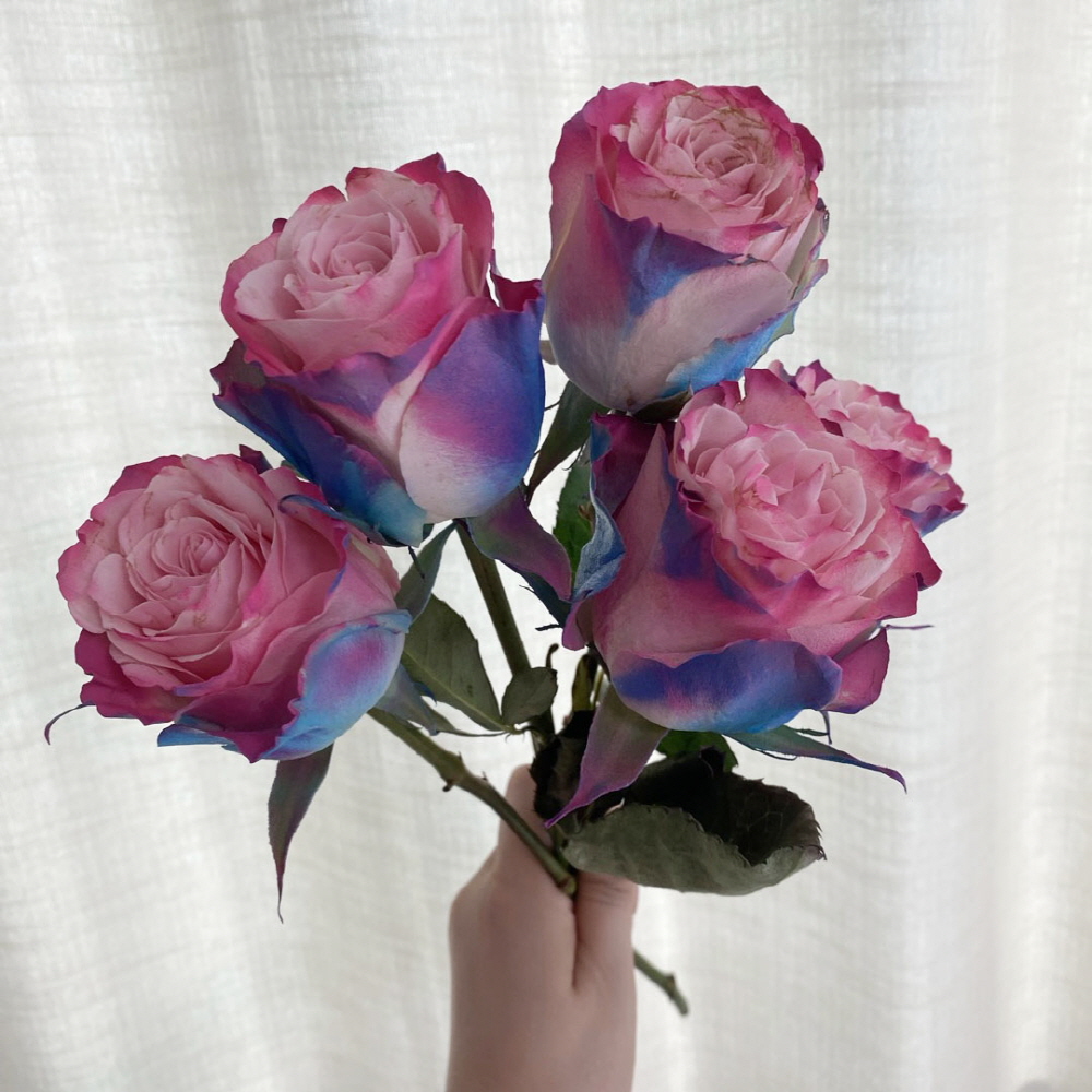 생화 오로라 장미 한송이 꽃다발 꽃배달 싼곳 양재 꽃시장 - 상세 이미지 5