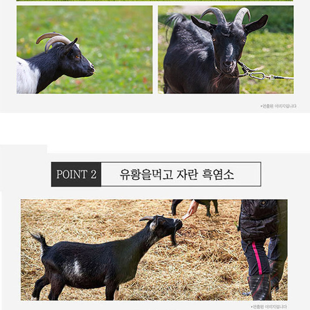 김소형 흑염소 진액 김소영 흙염소 즙 엑기스 효능 아라키돈산 30포 2박스 - 상세 이미지 4
