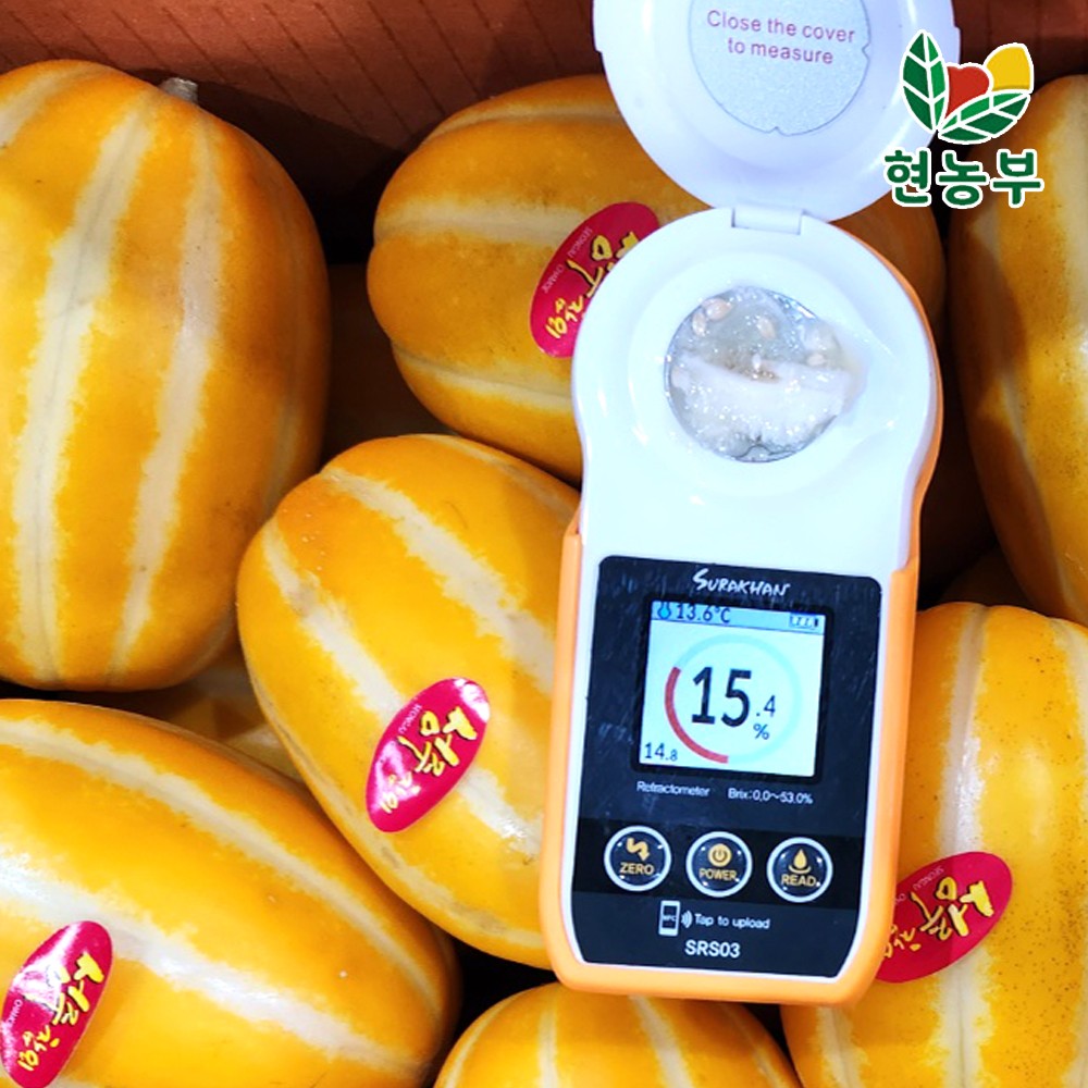 맛있는 산지직송 성주 참외 농장 당도선별 꿀참외 가정용 - 상세 이미지 5