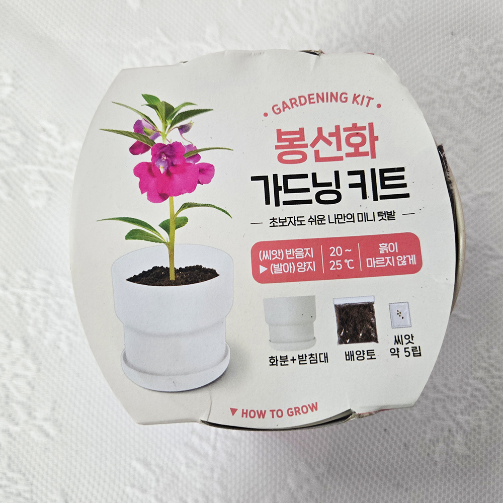 봉선화 키우기 초보자용 씨앗세트 식물키트 - 상세 이미지 4
