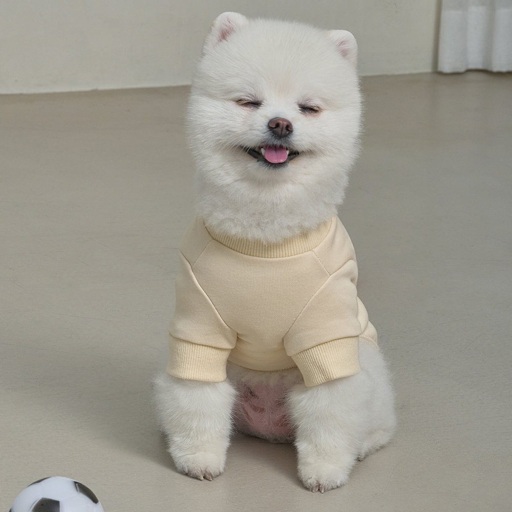 강아지옷 애견의류 반려견 실내복 중형 대형견 가을옷 쭈리 포켓티셔츠 2XL 이미지 7