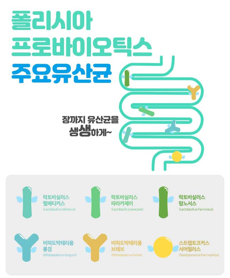 폴리시아 프로바이오틱스 유산균 30포 5개 5개월분 유익균증식 유해균제거 장건강 - 상세 이미지 4