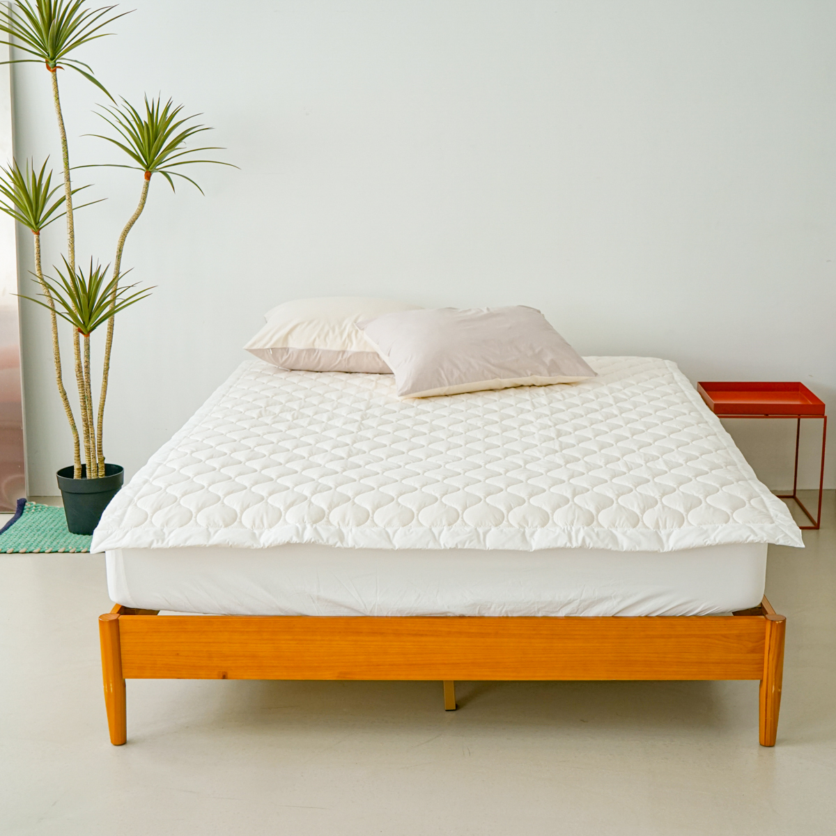 호주산 프리미엄 순면 양모패드 사계절 침대패드 Q