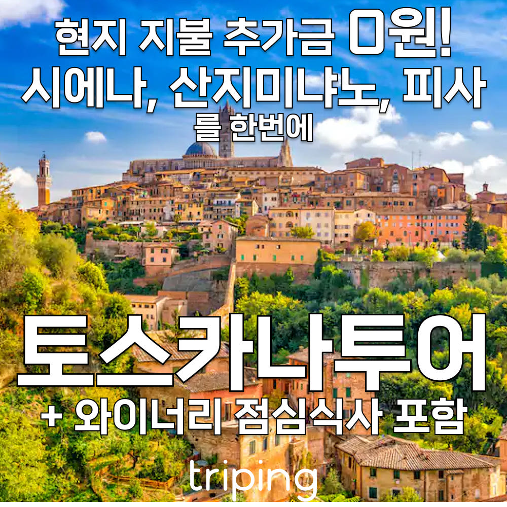 트리핑 토스카나투어 이탈리아 피렌체 시에나 산지미냐노 와이너리 와인 테이스팅