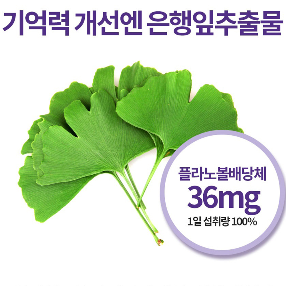 포스파티딜세린 PS 포스티딜세린 포스파티딜 세린 징코 효능 adhd 60캡슐 6박스 - 상세 이미지 3
