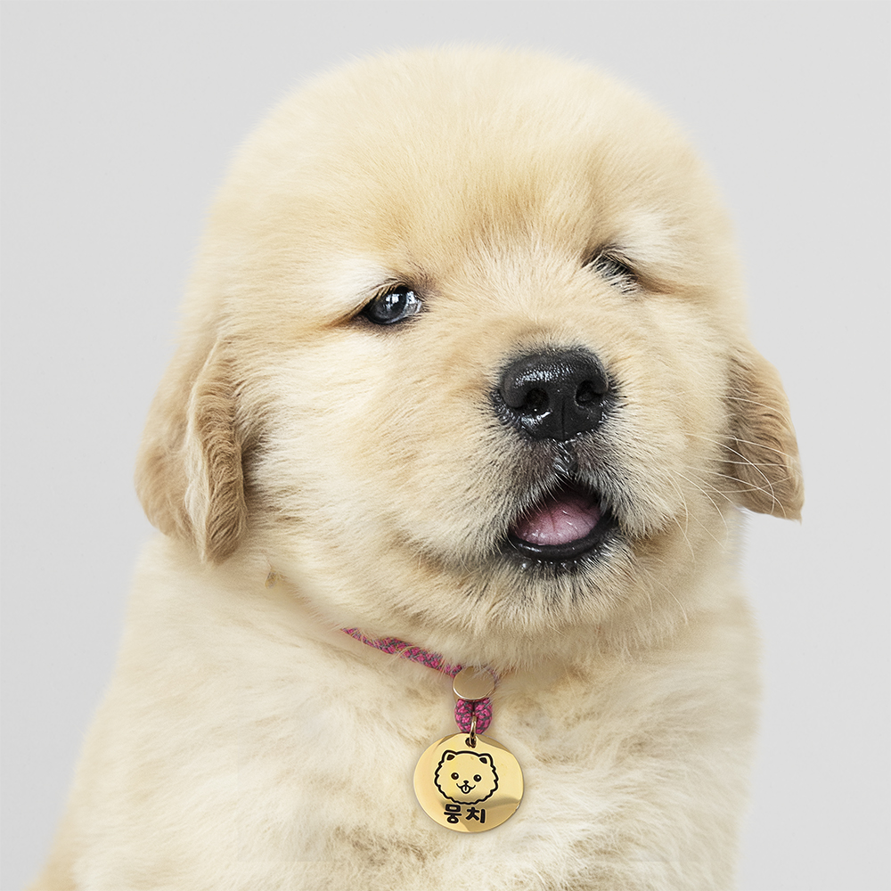 강아지 목걸이 인식표 고양이 목걸이 이름표