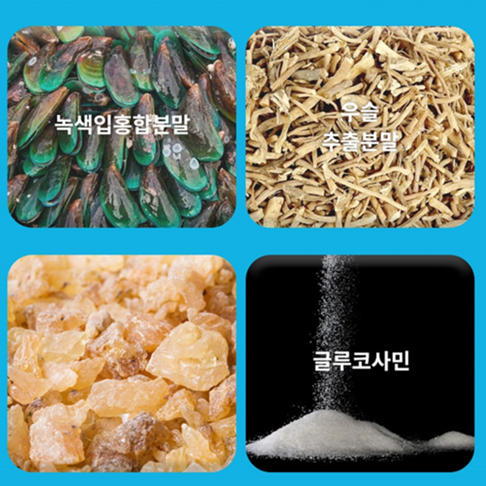 오스틴제약 리포좀 콘드로이친 120정 2통 8개월 인지질코팅 상어연골 관절 연골 건강 - 상세 이미지 4