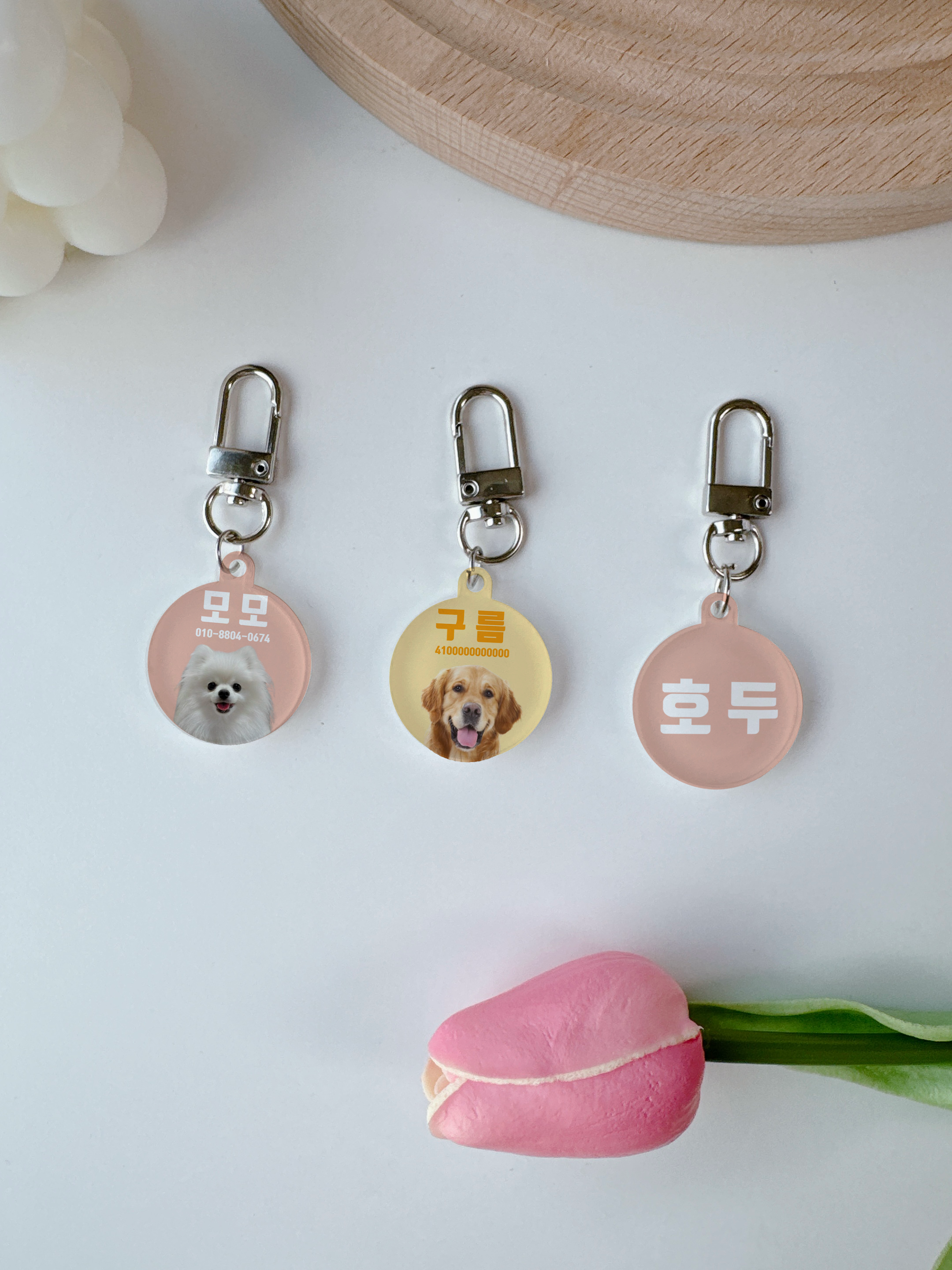 강아지 고양이 이름표 인식표 네임택 애견 반려견 반려묘 애견 목걸이 고리 아크릴 이름 사진 - 상세 이미지 3