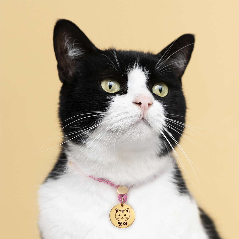 강아지 목걸이 인식표 고양이 목걸이 이름표