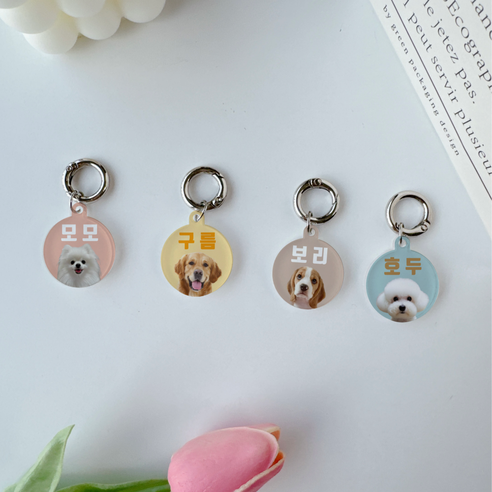 강아지 고양이 이름표 인식표 네임택 애견 반려견 반려묘 애견 목걸이 고리 아크릴 이름 사진 - 상품 이미지