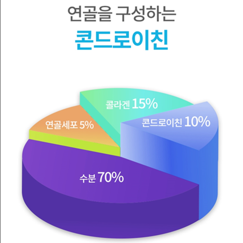오스틴제약 리포좀 콘드로이친 120정 2통 8개월 인지질코팅 상어연골 관절 연골 건강 - 상세 이미지 3