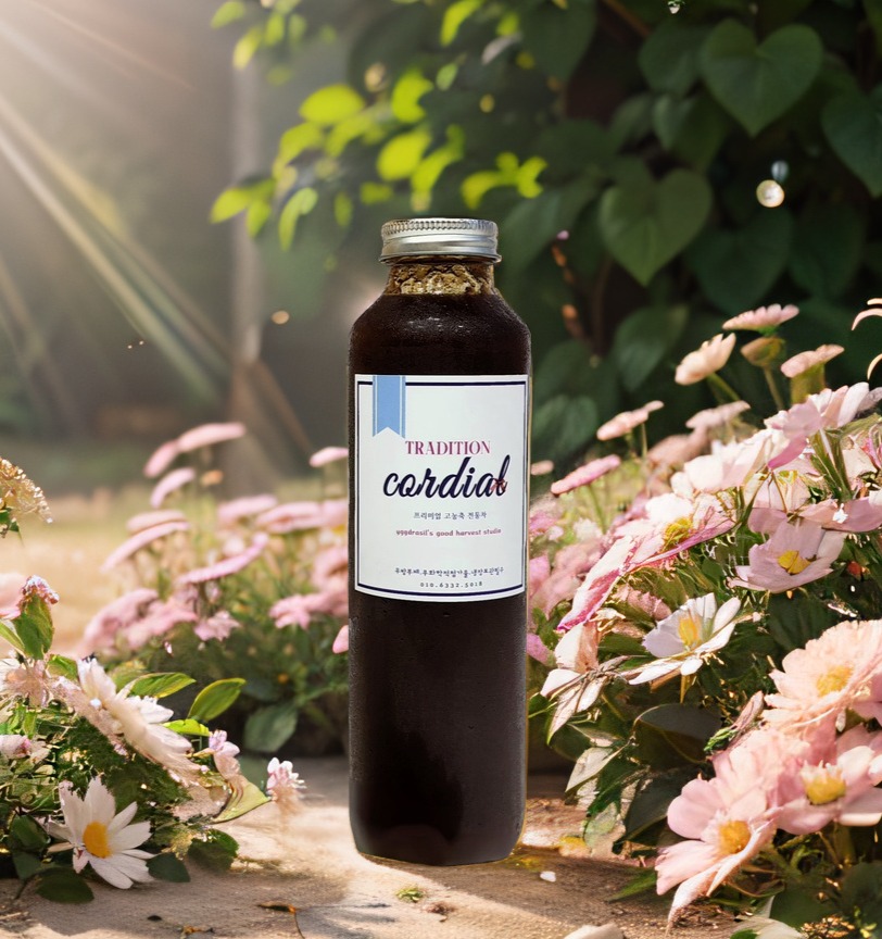 수제 꿀 대추생강청 대추고 540g 진액 고농축