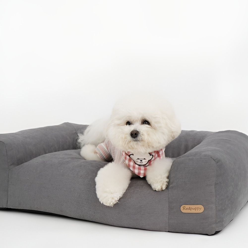 꼼지락펫 강아지침대 쇼파 애견 소파 의자 사계절 펫베드