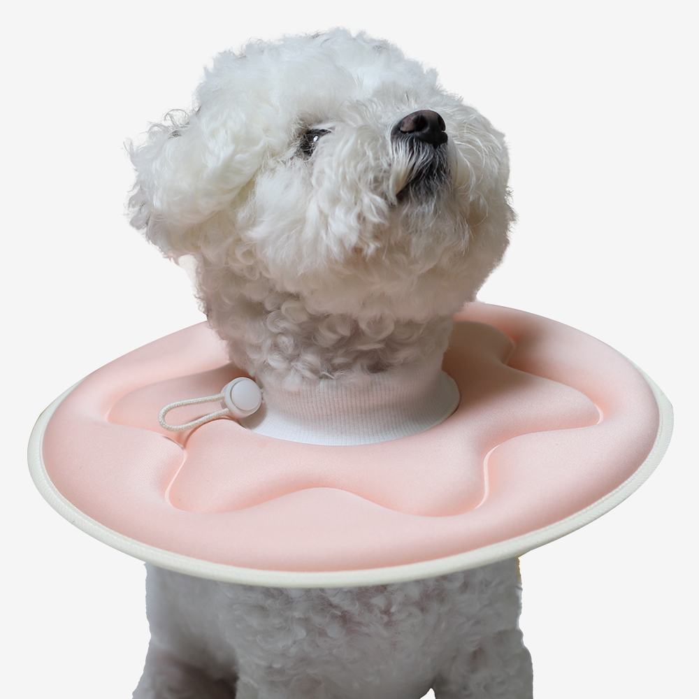 더플래 반반 초경량 강아지 고양이 넥카라 S - 상품 이미지