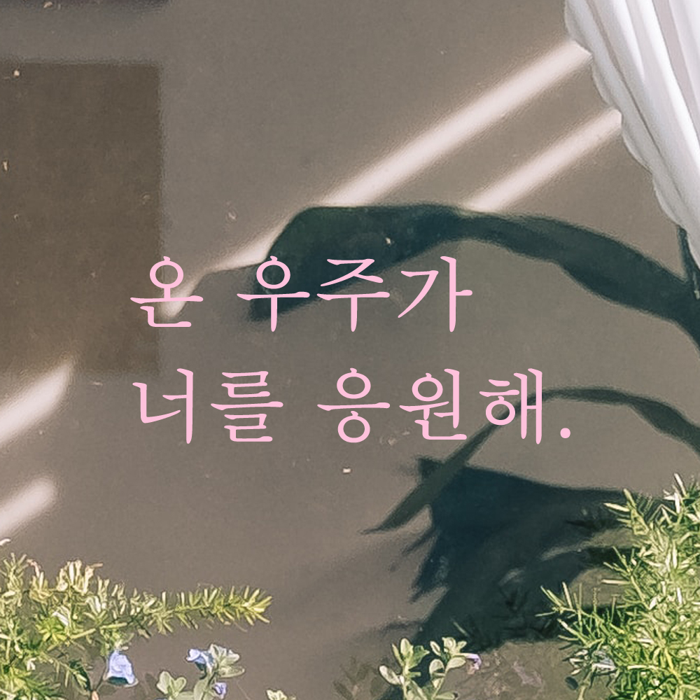 인테리어 포인트 감성 문구 레터링 스티커 온 우주가 너를 응원해 L-090S 검정 - 상세 이미지 4