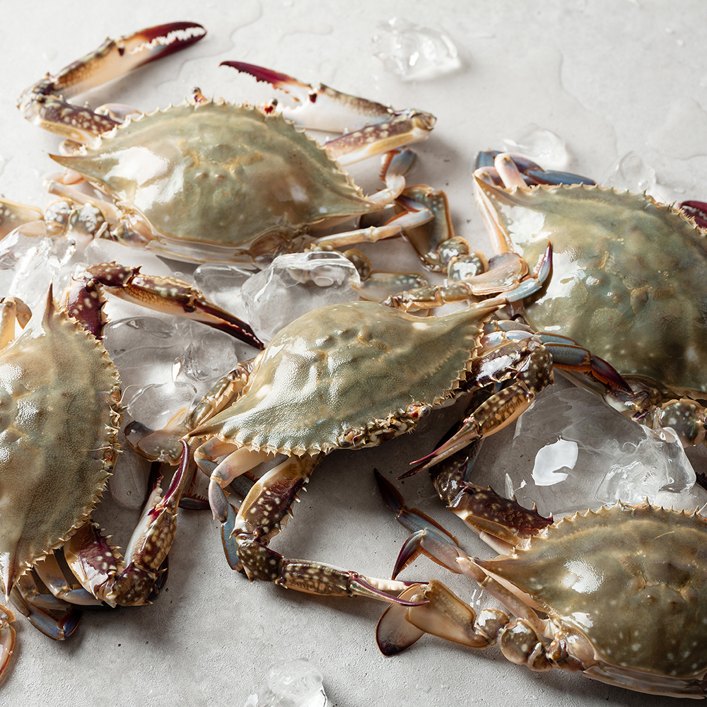 연평도 제철 꽃게 1kg 산지직송 활 급냉 숫꽃게 절단 몽당