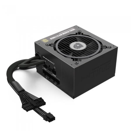 NEWZEN SKULL 850SM 모듈러 ATX3.1 80PLUS골드 품위