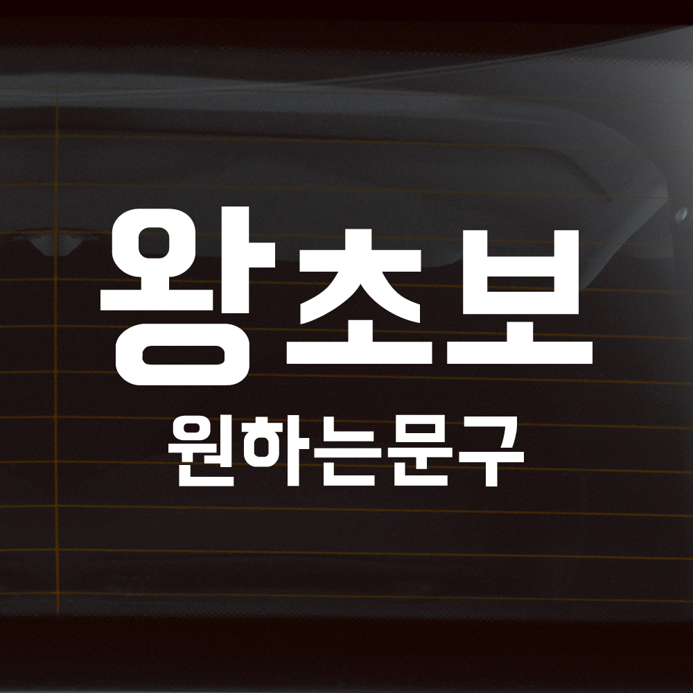 왕초보 원하는 문구 초보운전 스티커 주문제작 흰색M - 상품 이미지