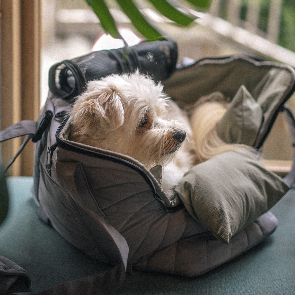 하웃 에어핏 강아지 이동 가방 슬링백 애견 산책 가방 사코슈 세트