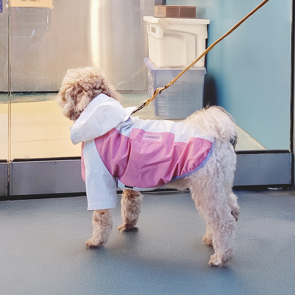 레토 올인원 강아지 우비 바람막이 애견 비옷 레인코트 - 상세 이미지 4
