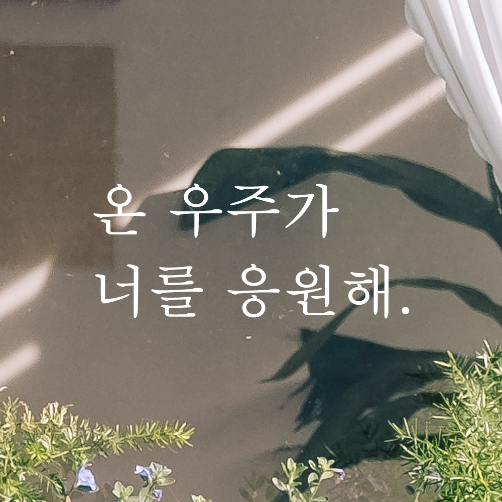 인테리어 포인트 감성 문구 레터링 스티커 온 우주가 너를 응원해 L-090S 검정 - 상세 이미지 2