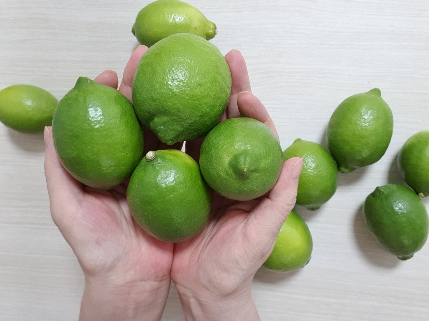제주 그린레몬 9kg, 1개 - 상세 이미지 4