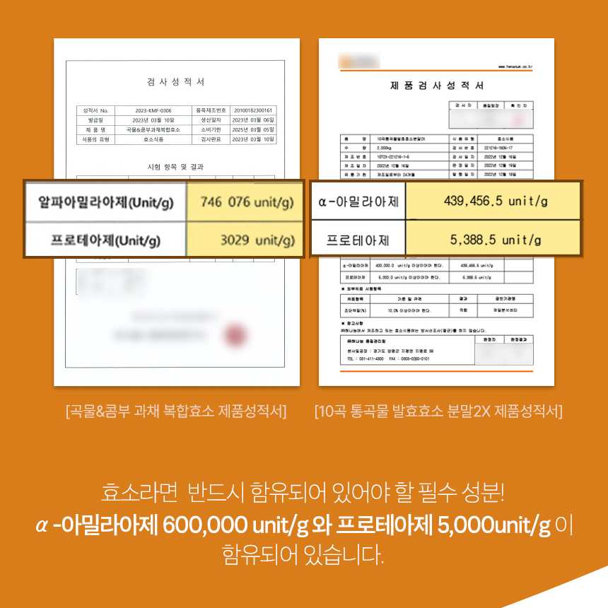 호라산밀 효소 역가수치높은 곡물발효 탄수화물 단백질 분해 이미지 3