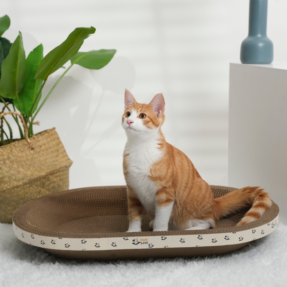 특대형 고양이 스크래쳐 대형 스크래쳐 고양이 원형 기본 스크래쳐 고양이 소파 스크래치 2개