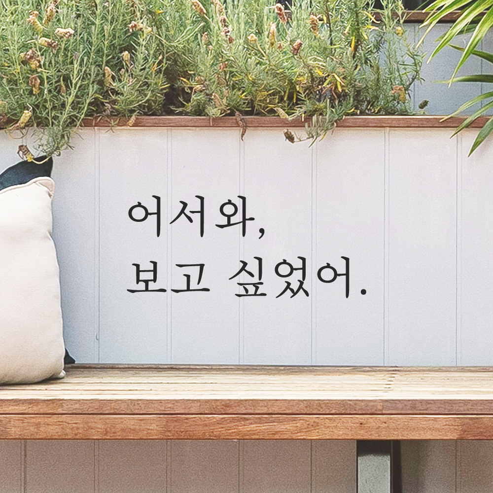 인테리어 포인트 감성 문구 레터링 스티커 어서와 보고 싶었어 L-095S 검정 이미지 7