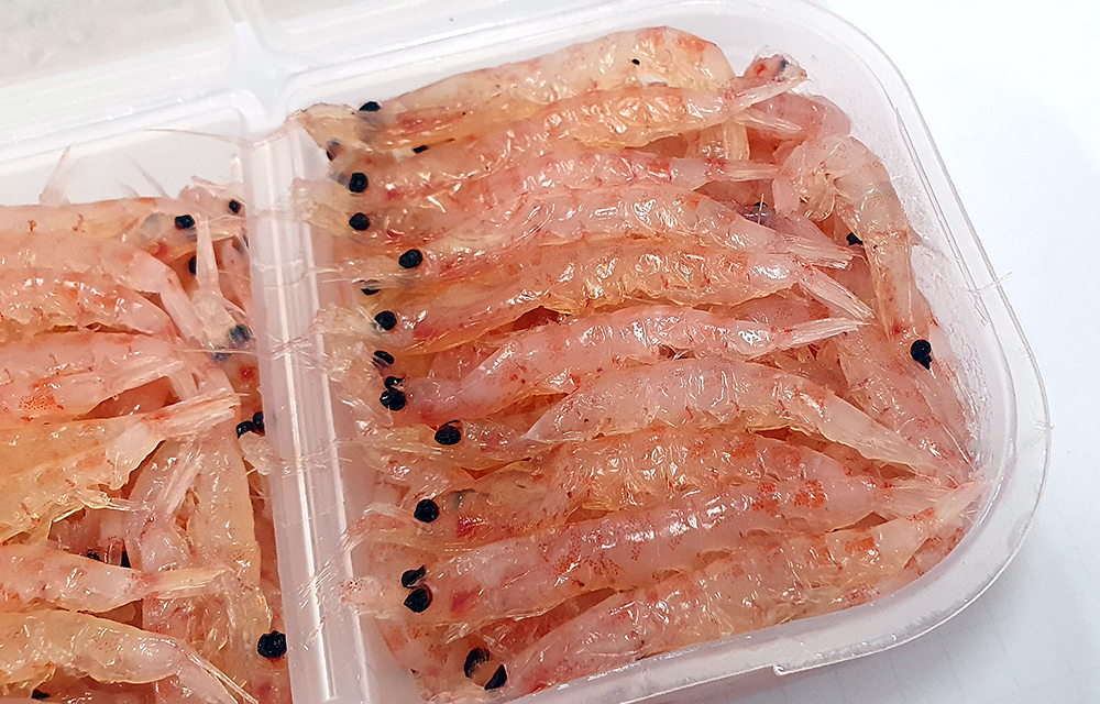 맥스텐 육질이 단단하고 큰 감탄 감성돔 전용크릴 바다낚시미끼 백크릴 벵에돔 돌돔 각크릴 - 상세 이미지 2