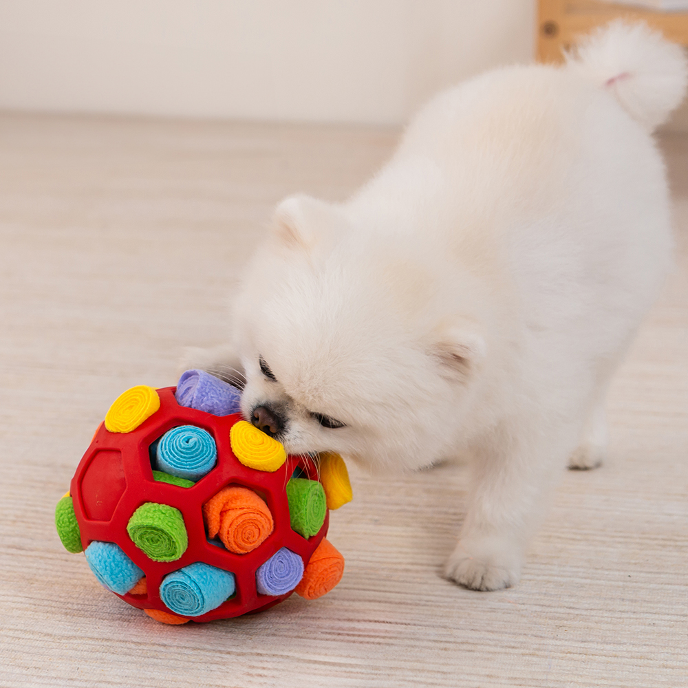 레토 강아지 노즈워크 대형 담요 당근밭 장난감 포함 80x60