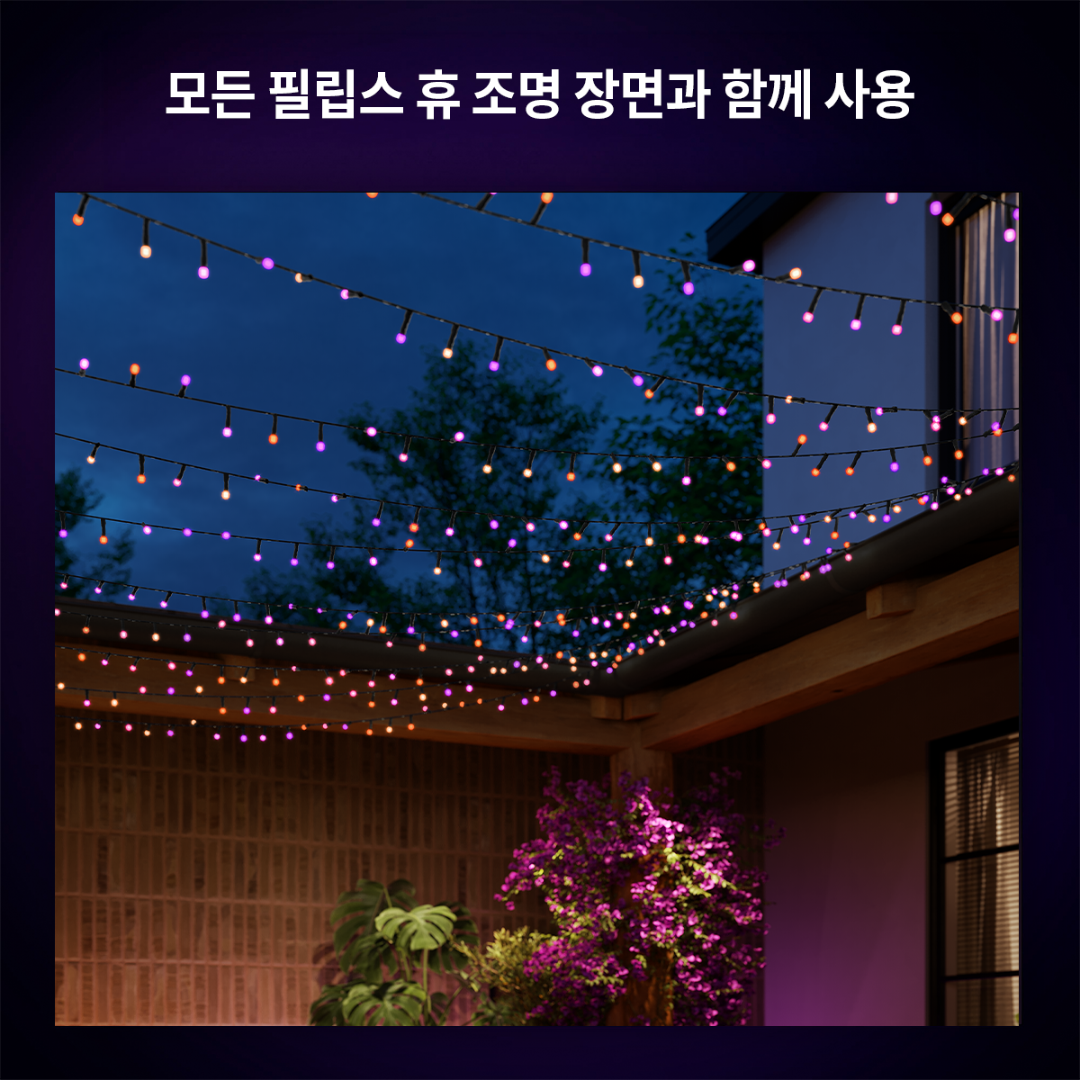 [강세일쿠폰]필립스 휴 화이트&컬러 페스타비아 스트링 트리조명 20m - 상세 이미지 4
