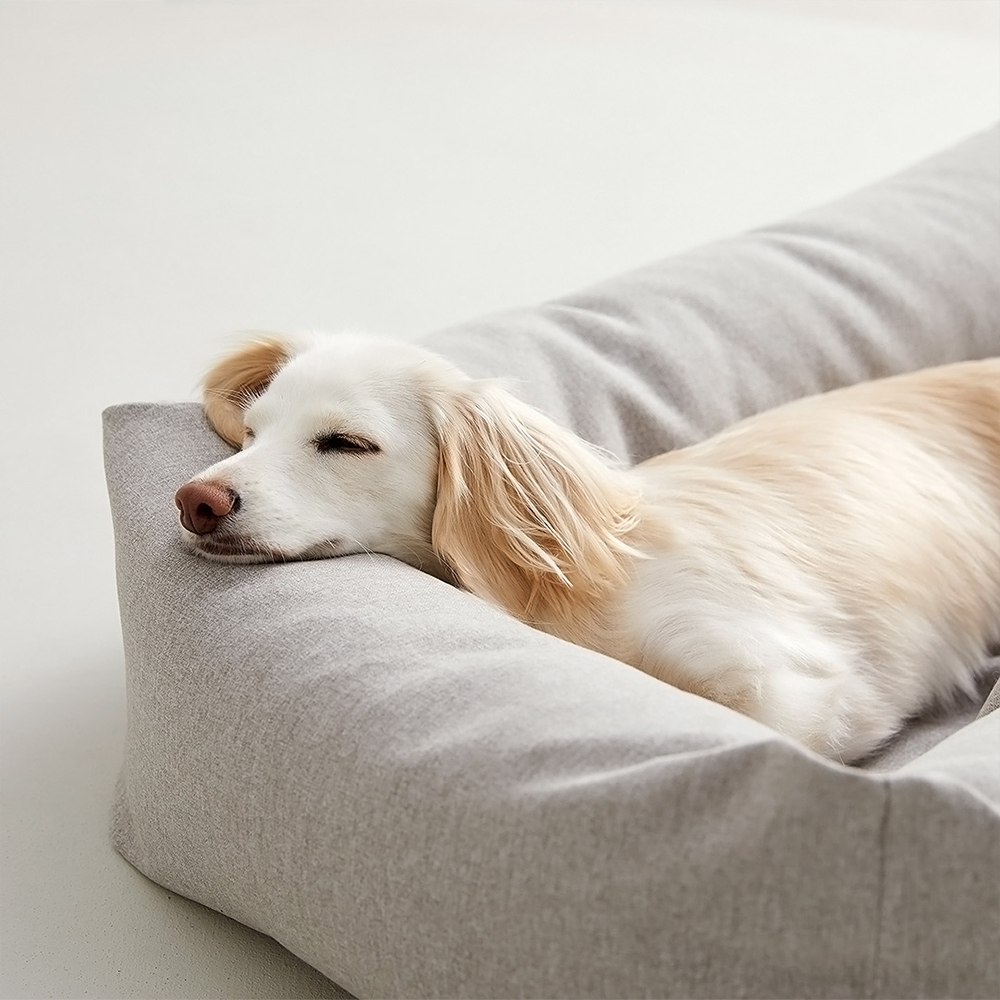 펫토 알러프리 강아지방석 고양이 애견 쿠션 범퍼형 라이트그레이, XL