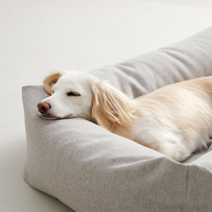 펫토 알러프리 강아지방석 고양이 애견 쿠션 범퍼형 라이트그레이, M 솔직 후기 | 실제 사용자 리뷰 총정리 - 상품 이미지 1