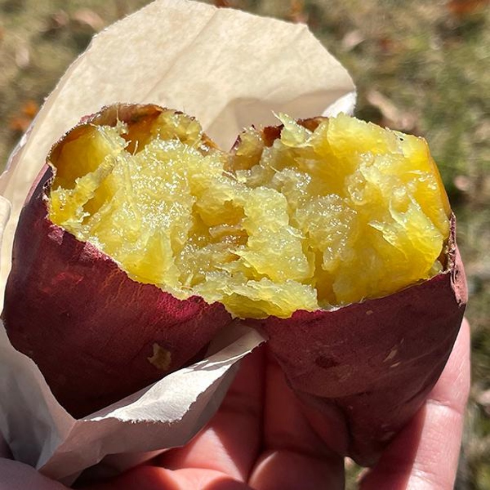 하루까 호밤고구마 베로니카 햇꿀고구마 한박스 호박밤 베니하루카 해남햇 한입, 5kg, 1개 - 상세 이미지 4