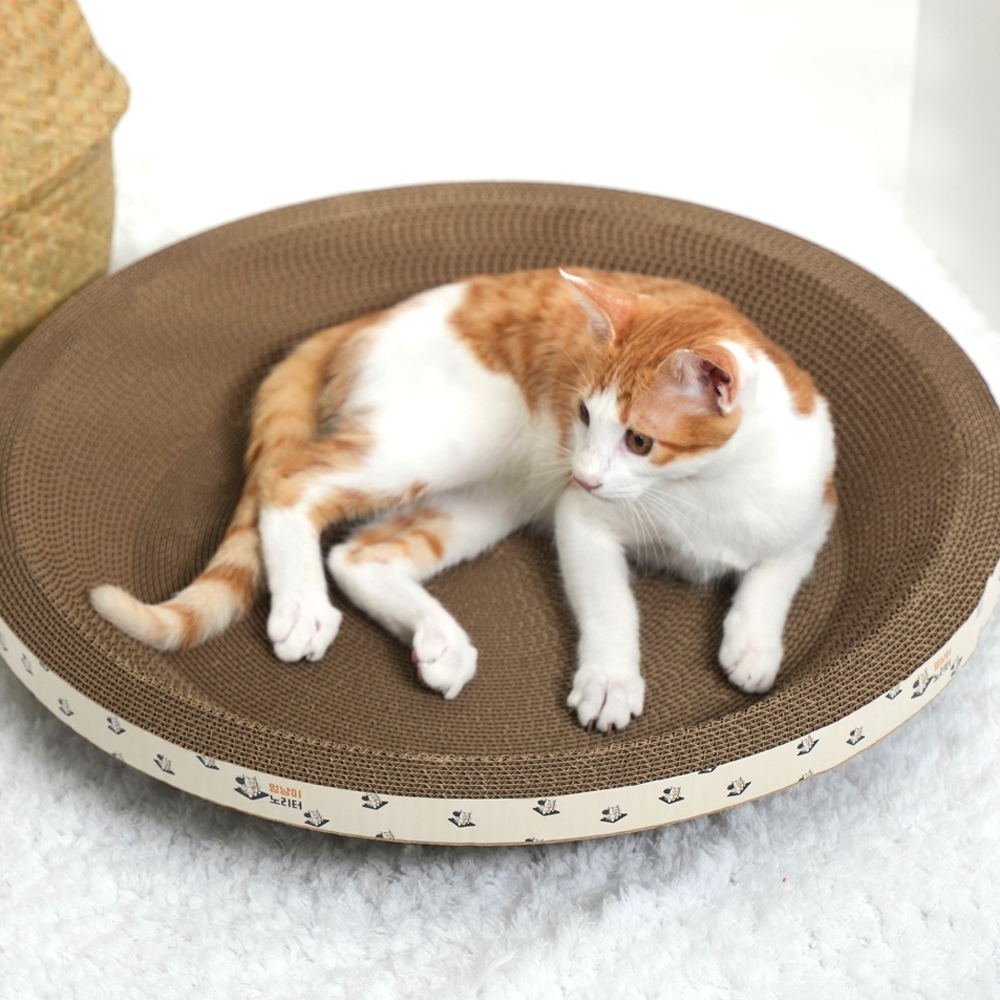 멍냥이노리터 고양이 스크래쳐 원형 대형 53cm
