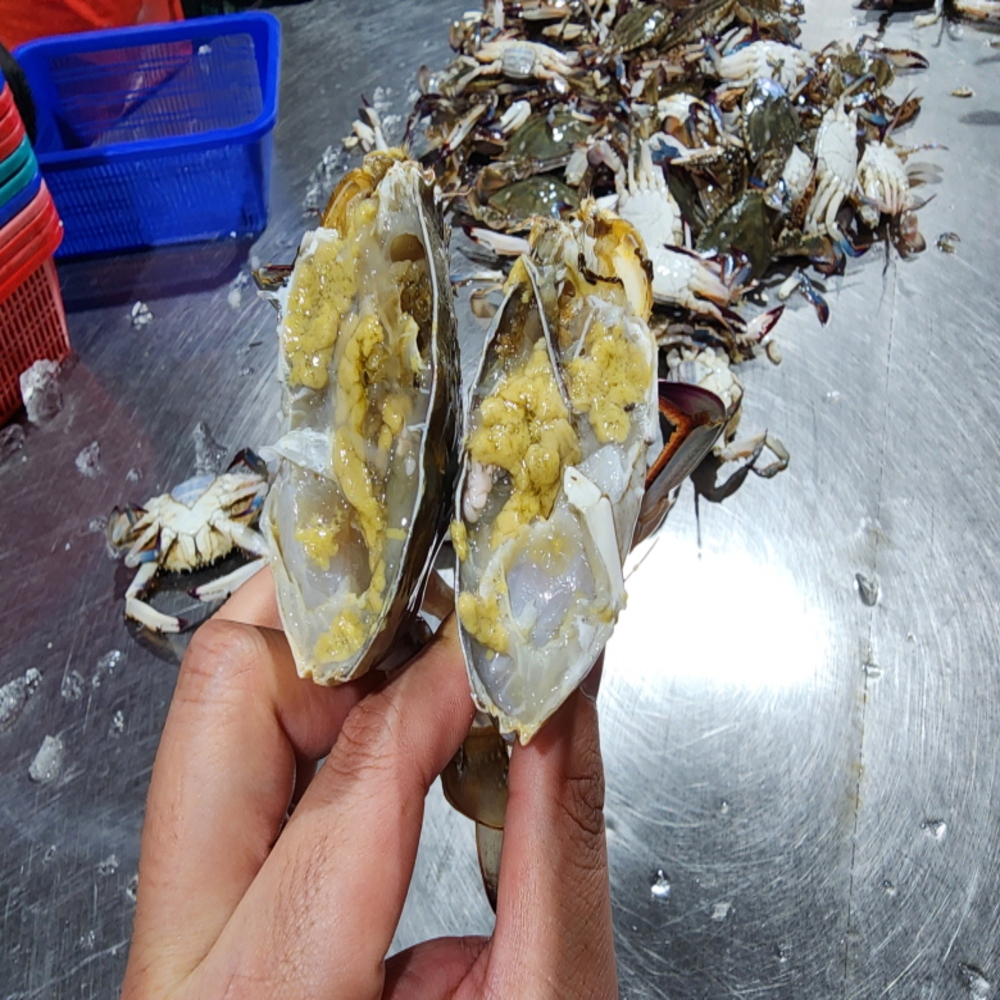 태안 활 톱밥꽃게 제철 국내산 - 상세 이미지 2