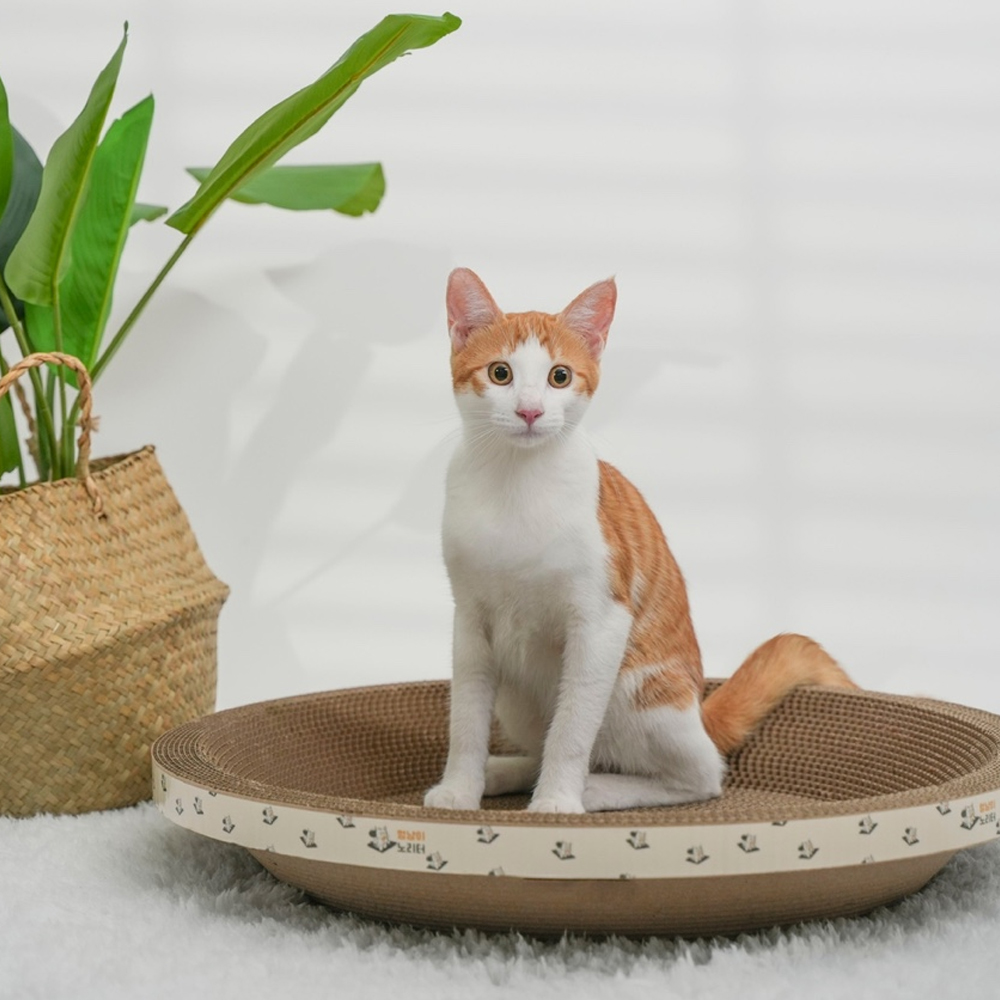 멍냥이노리터 고양이 스크래쳐 원형 대형 53cm