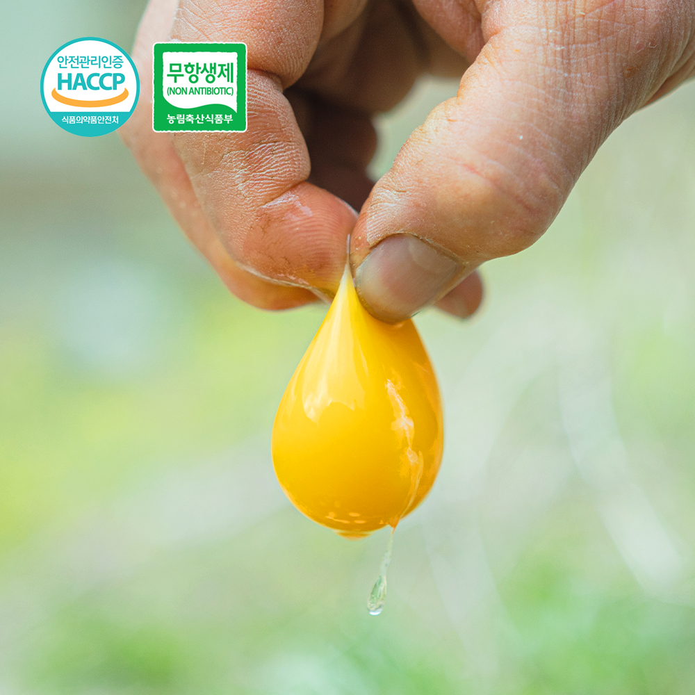 난각번호 1번 자연 방목 방사 유정란 동물복지 1등급 날 계란 고려닭