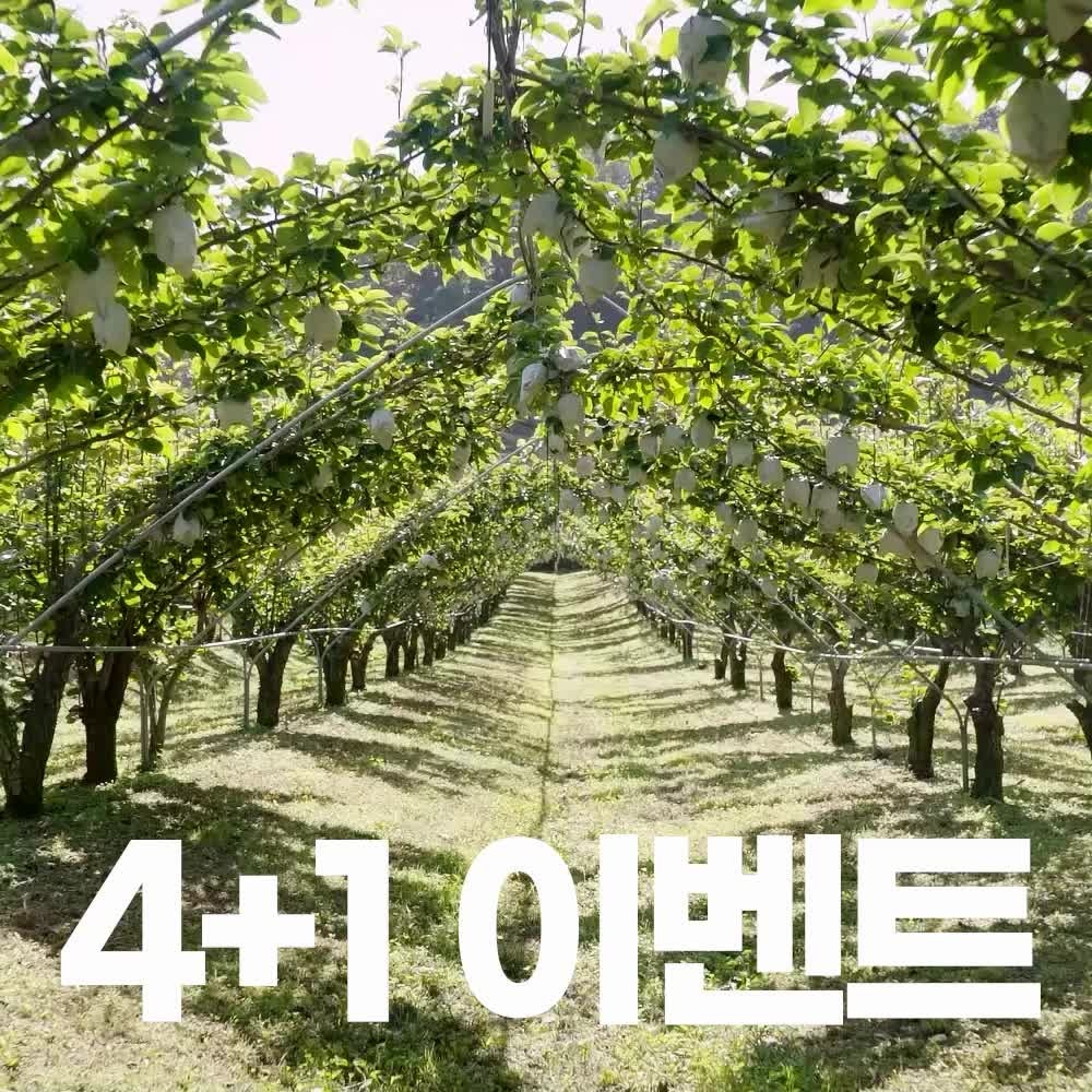 물없이 통으로 갈아만든 도라지배즙 아이용 100ml x 30포 진액 엑기스
