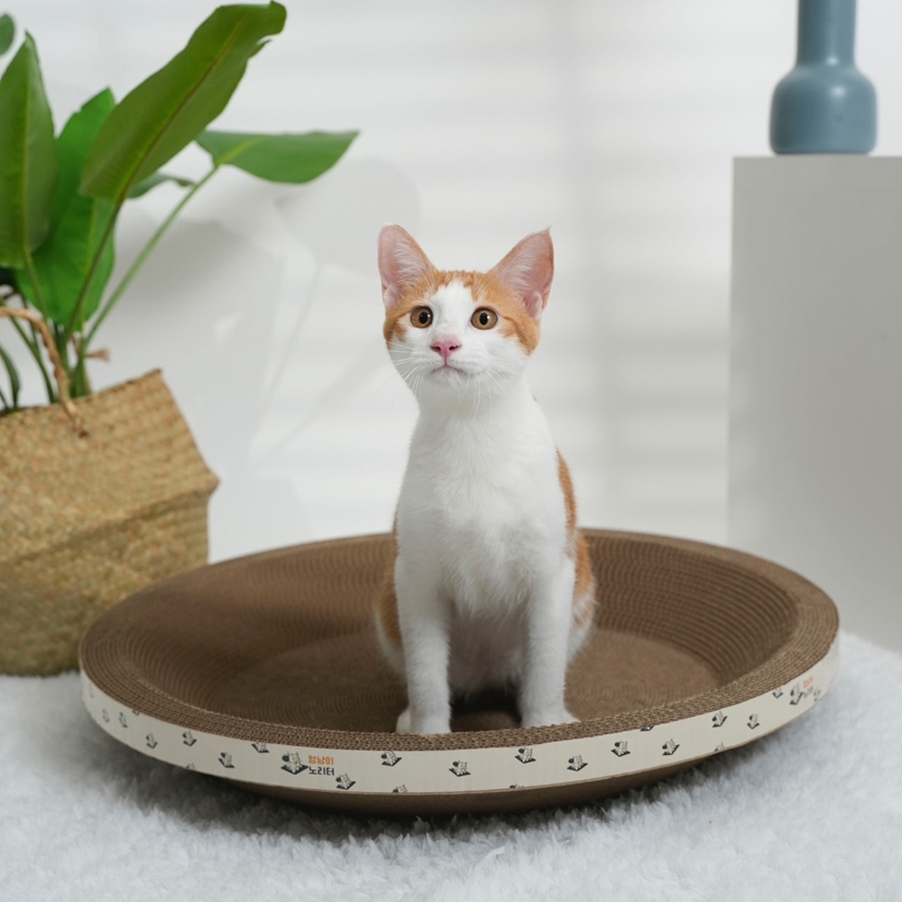 멍냥이노리터 고양이 스크래쳐 원형 대형 53cm