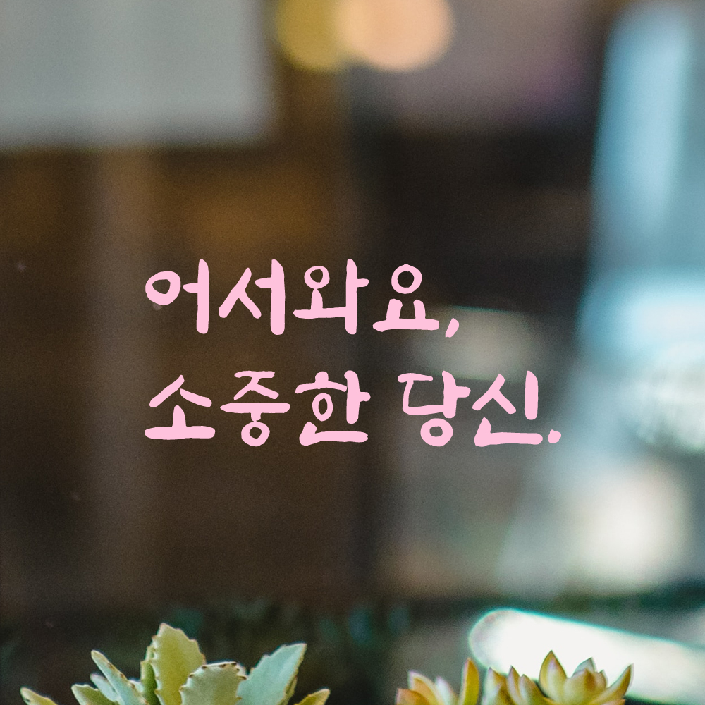 인테리어 붓글씨 혼체 레터링 스티커 어서와요 소중한 당신 LJH-085S 검정 - 상세 이미지 4