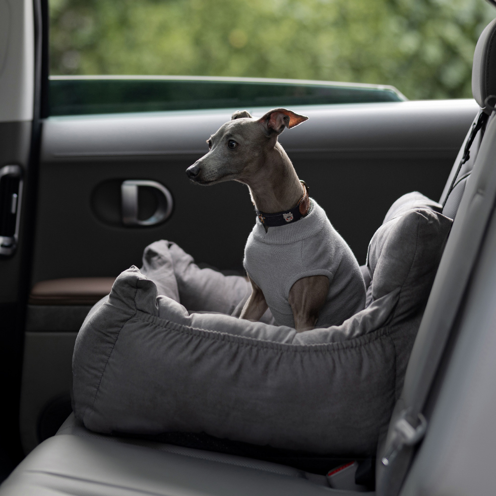 따수미펫 리베카 강아지 카시트 반려견 자동차 시트 S