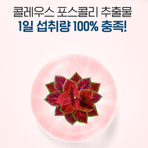 닥터브라이언 콜레우스포스콜리 30정 3병 3개월 체지방 스트레스 활력 포스콜린 테아닌 - 상세 이미지 3