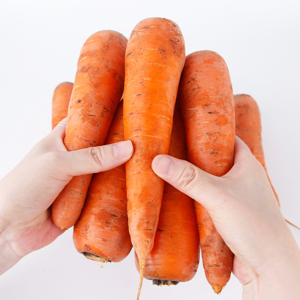 국내산 흙당근 하우스 햇당근 2kg 3kg 5kg 10kg 강원도